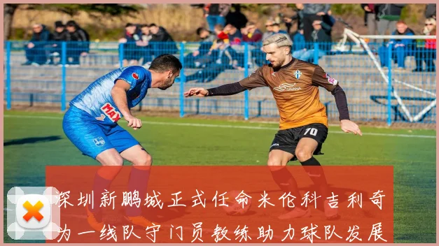 深圳新鹏城正式任命米伦科吉利奇为一线队守门员教练助力球队发展