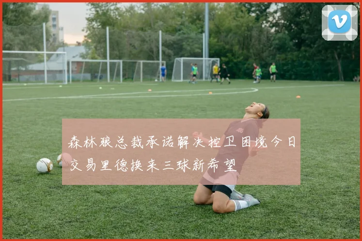森林狼总裁承诺解决控卫困境今日交易里德换来三球新希望